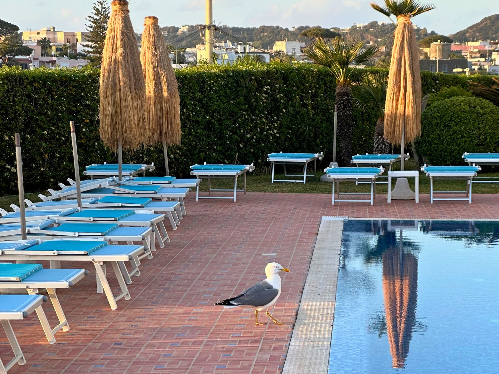 Area piscina con ombrelloni e lettini