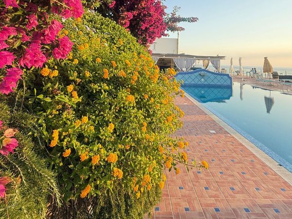 Hotel Albatros — Forio d'Ischia, Ischia