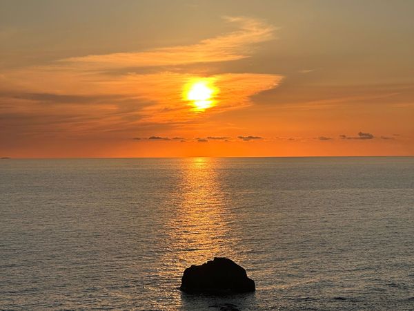 Hotel Albatros — Forio d'Ischia, Ischia
