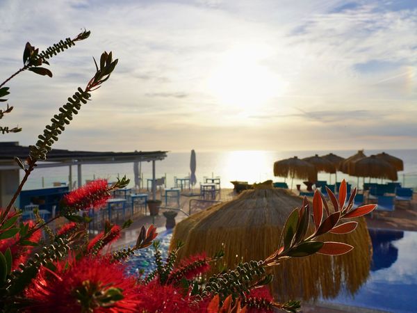 Hotel Albatros — Forio d'Ischia, Ischia
