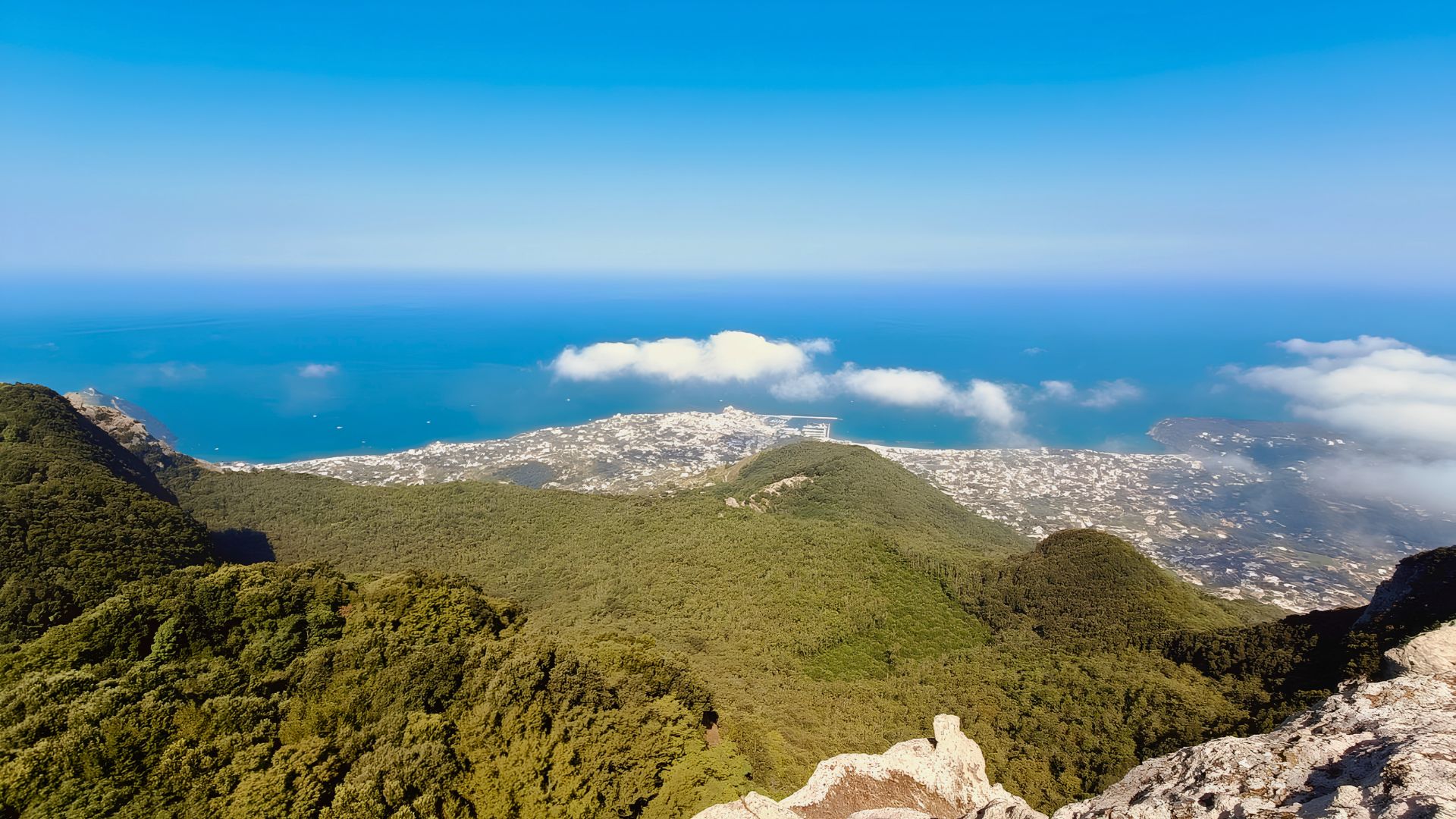 Bosco del Cretaio — escursione a Ischia